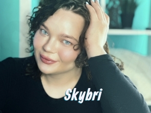 Skybri