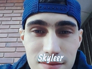 Skyleer