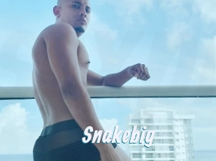 snakebig Sexe Express