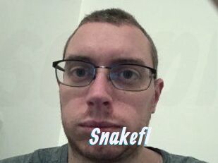Snakefl