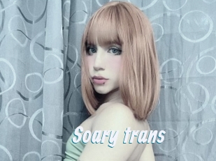 Soary_trans