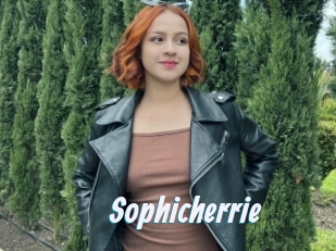 Sophicherrie