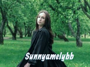 Sunnyamelybb
