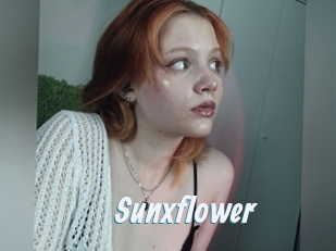 Sunxflower