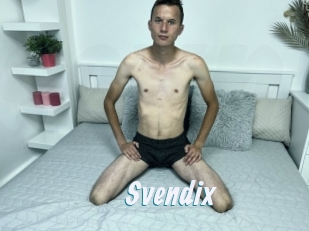 Svendix