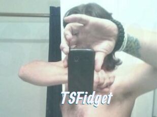 TSFidget