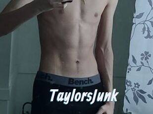 TaylorsJunk