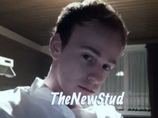 TheNewStud