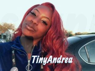 TinyAndrea