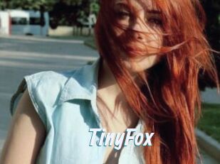 TinyFox