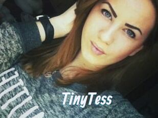 TinyTess