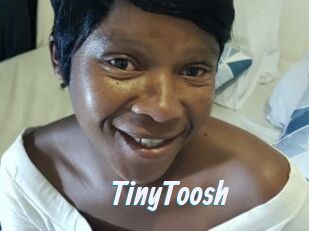 TinyToosh