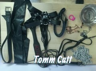 Tomm_Catt