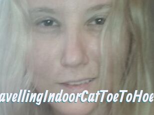 TravellingIndoorCatToeToHoe