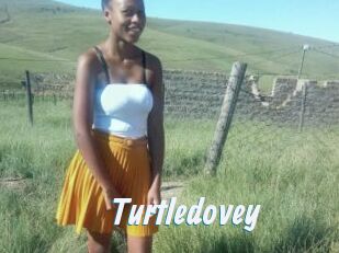 Turtledovey