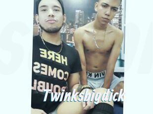 Twinksbigdick