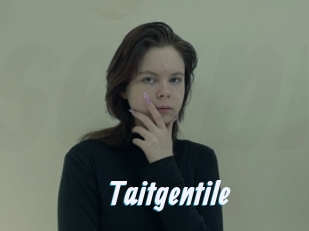 Taitgentile
