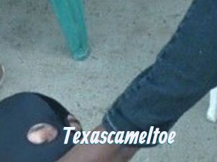 Texascameltoe