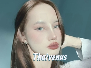 Thaivenus