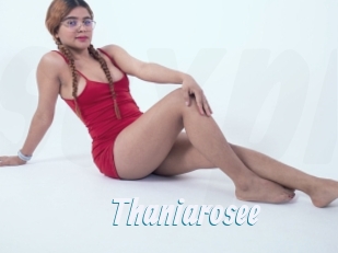 Thaniarosee