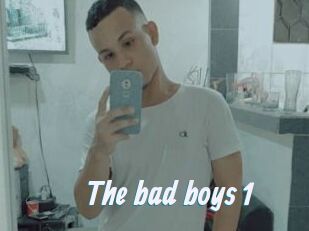 The_bad_boys_1