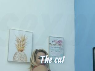 The_cat