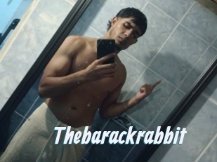 Thebarackrabbit