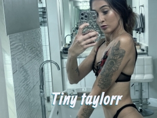 Tiny_taylorr