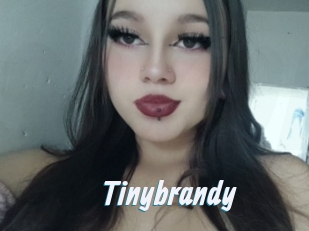 Tinybrandy