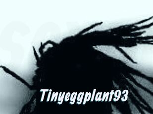 Tinyeggplant93