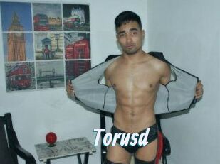 Torusd