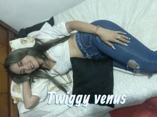 Twiggy_venus