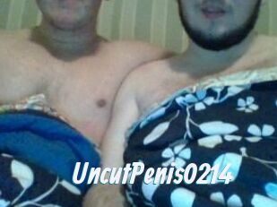 UncutPenis0214