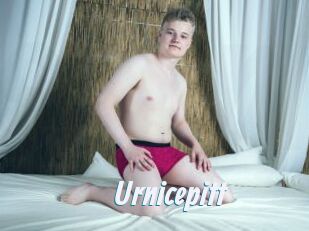Urnicepitt