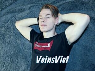 VeinsViet
