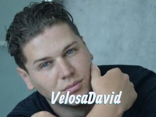 VelosaDavid