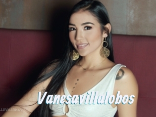 Vanesavillalobos