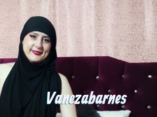 Vanezabarnes