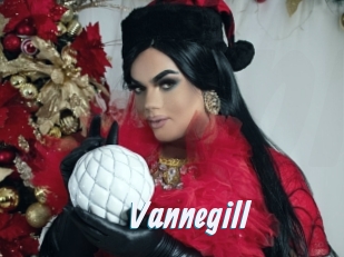 vannegill Sexe Express