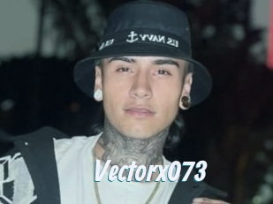 Vectorx073