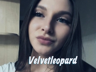 Velvetleopard