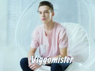 Viggomister