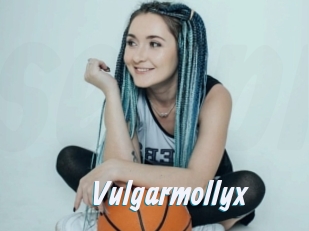 Vulgarmollyx