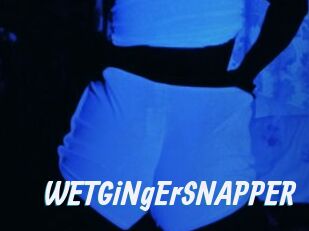 WETGiNgErSNAPPER
