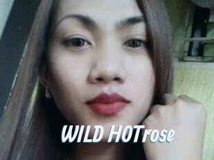 WILD_HOTrose