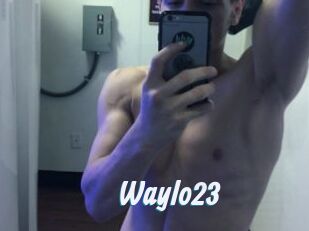 Waylo23