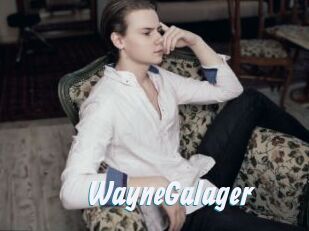 WayneGalager