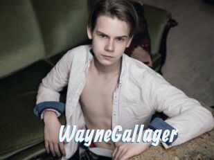 WayneGallager