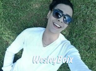 Wesley_Boix