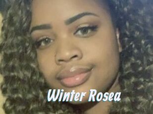Winter_Rosea